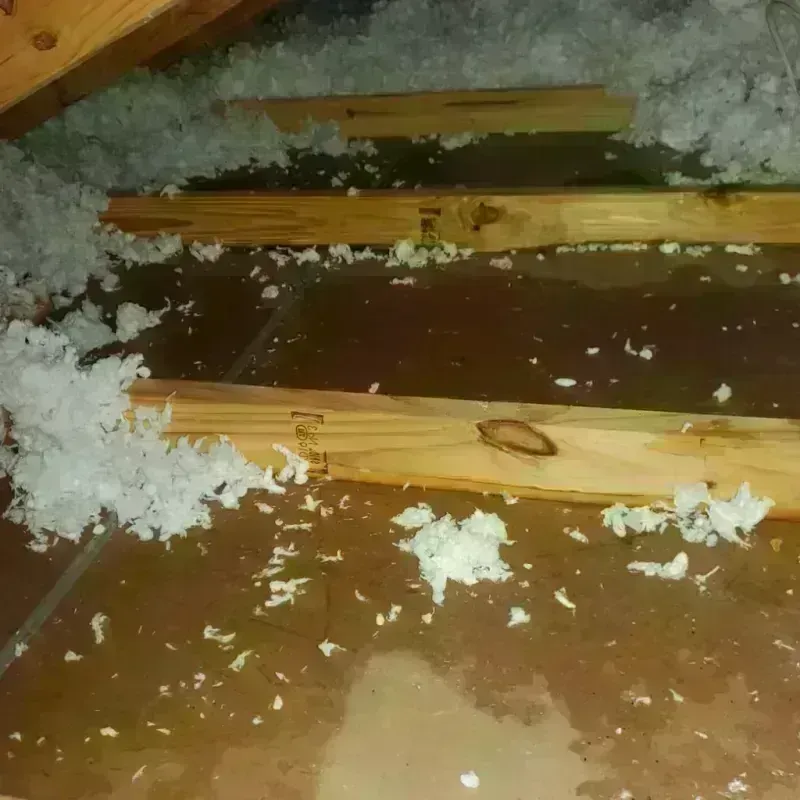 Attic Water Damage in Butner, NC